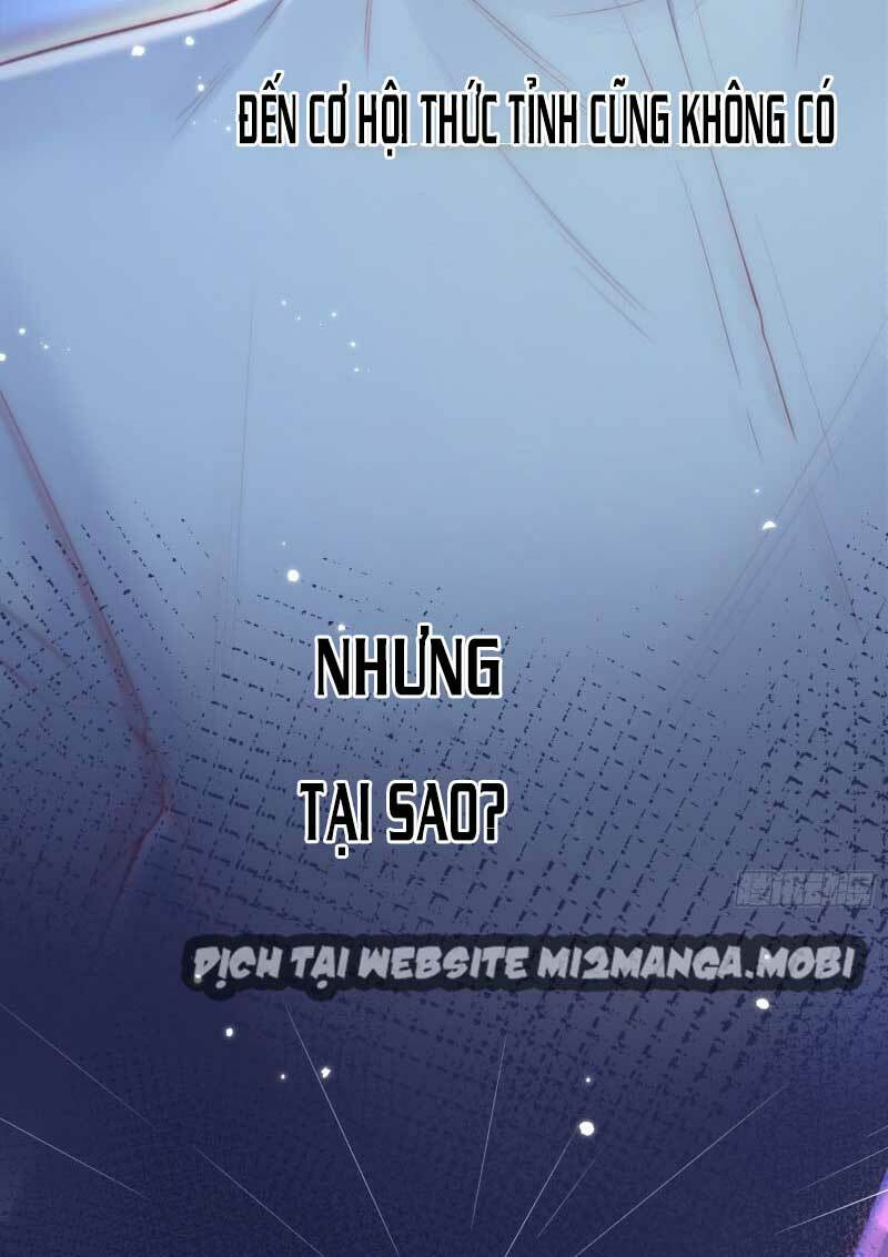 triều tây, in or out chapter 37 37