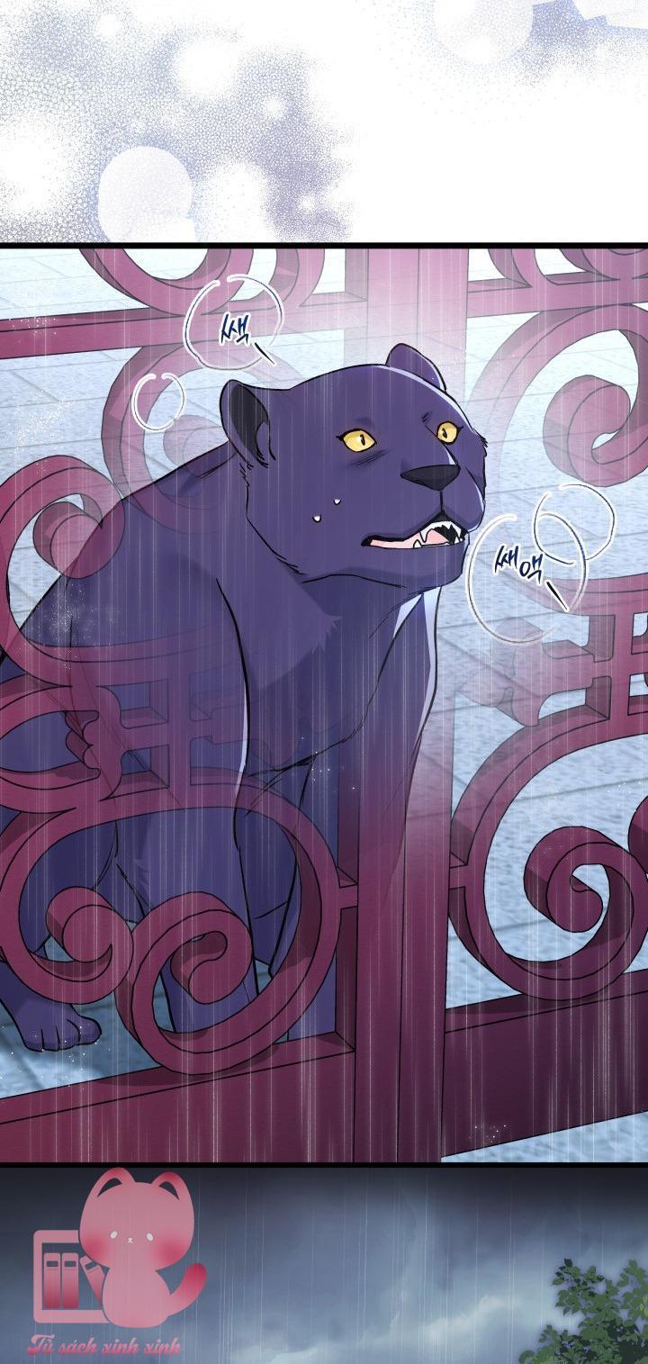 quan hệ cộng sinh giữa báo đen và thỏ trắng chapter 121 49
