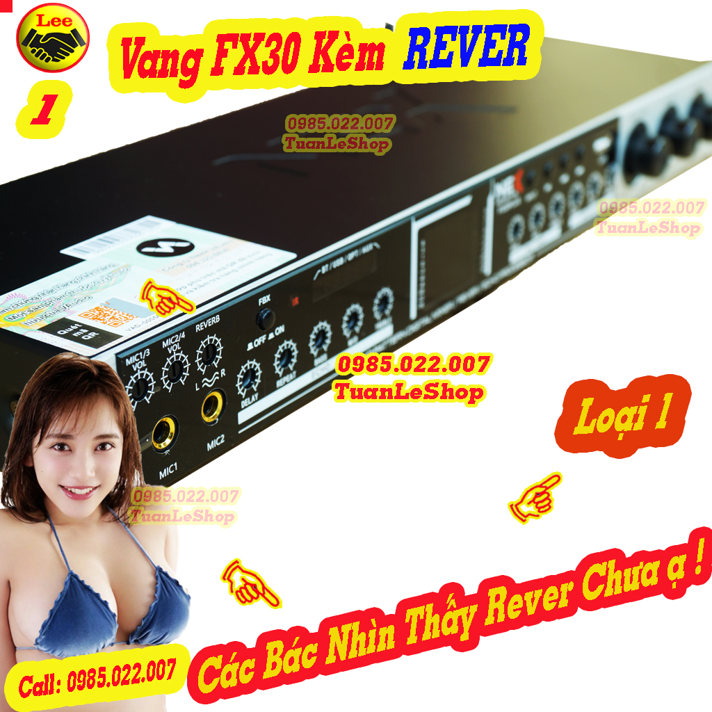 VANG CƠ FX30 PLUS CÓ REVER CAO CẤP – VANG KARAOKE