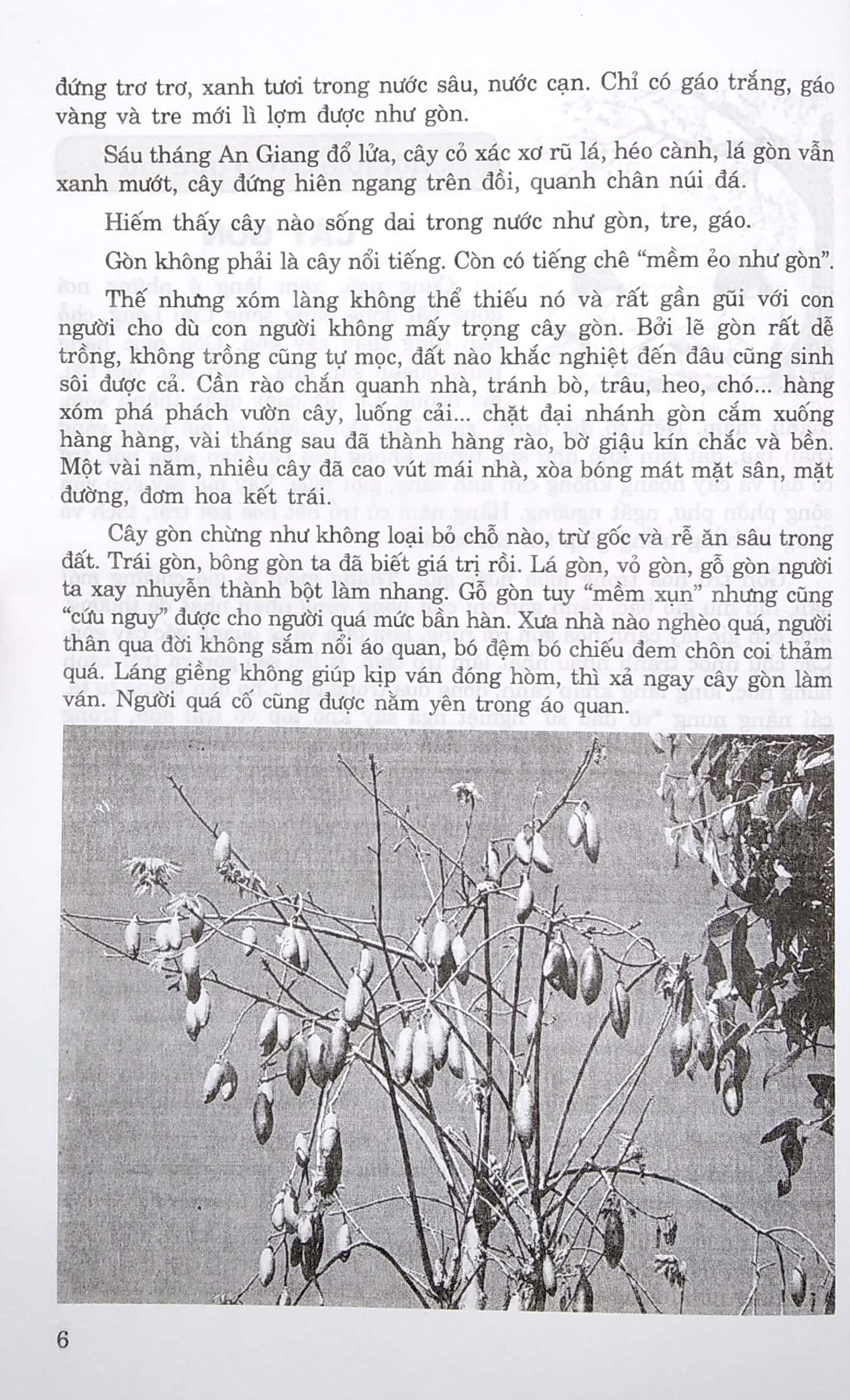 207 Để Và Bài Văn Hay 9