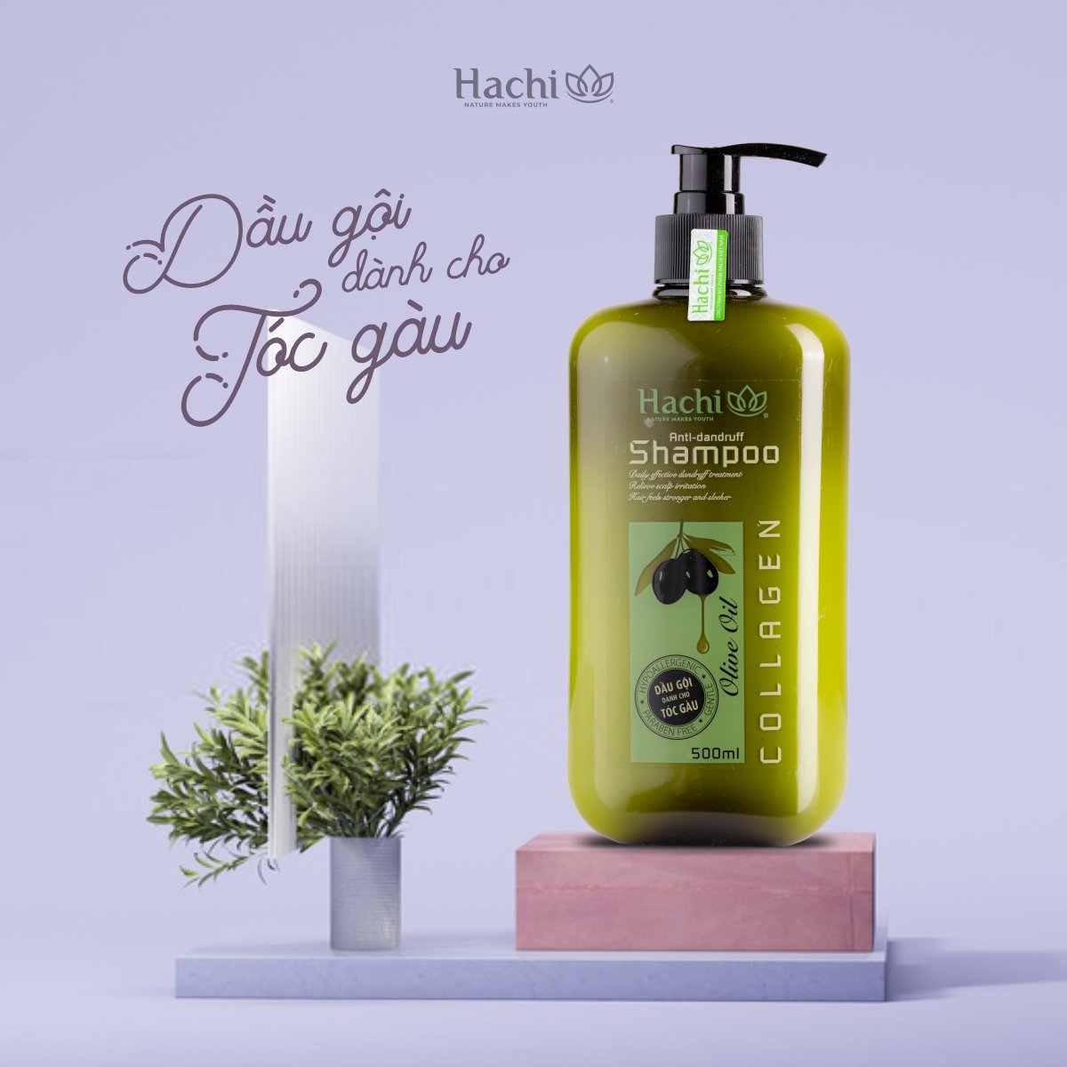 Bộ sản phẩm dầu gội - xả HACHI hỗ trợ điều trị gàu tinh chất Olive - Anti - dandruff