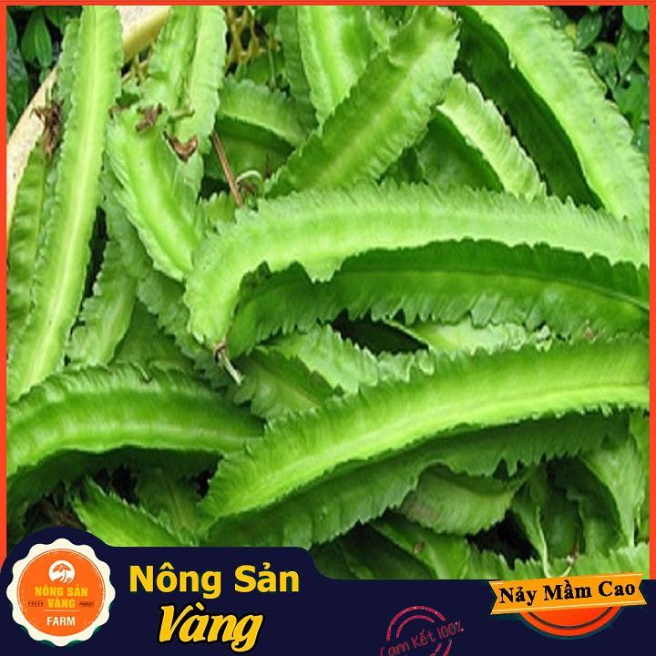 Hạt giống Đậu Rồng ( Gói 10 Gram )