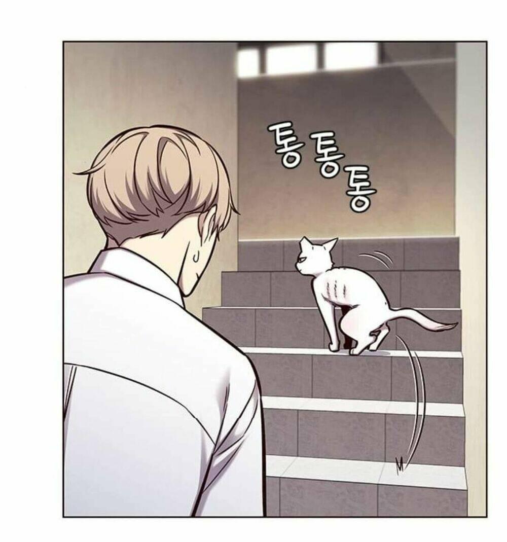 biến thân thành mèo chapter 144 11