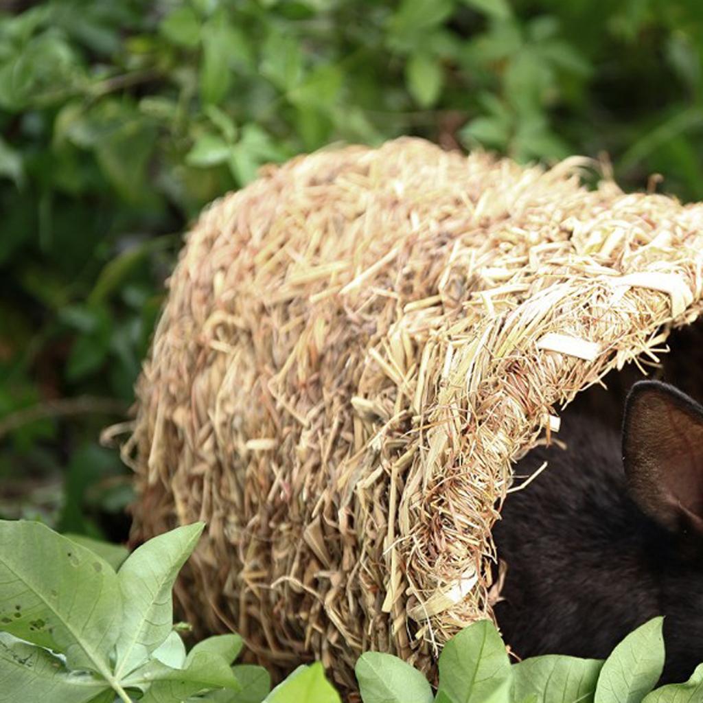 Hand-made Natural Straws Hamster Bunny Gerbil Chinchillas Rabbit Nest Cubby
