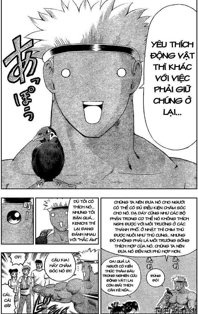 history's strongest disciple kenichi chapter 313 4