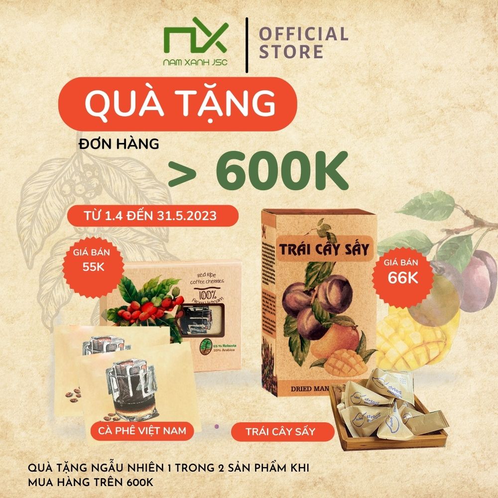 HỘP TRÁI CÂY SẤY 70G (100G) NAM XANH