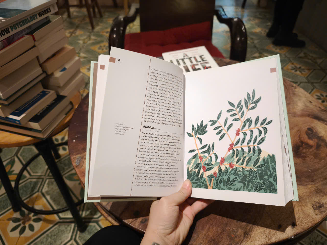 Sách - The Coffee Dictionary: An A-Z of coffee, from growing &amp; roasting to brewing &amp; tasting by Maxwell Colonna-Dashwood
