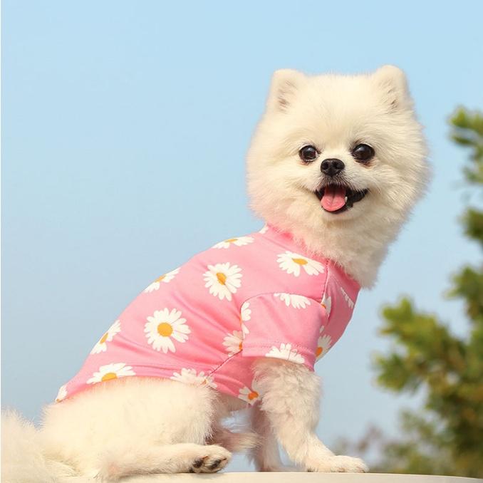 Áo cho chó mèo 2 chân, Đủ Size, Quần Áo Thú Cưng