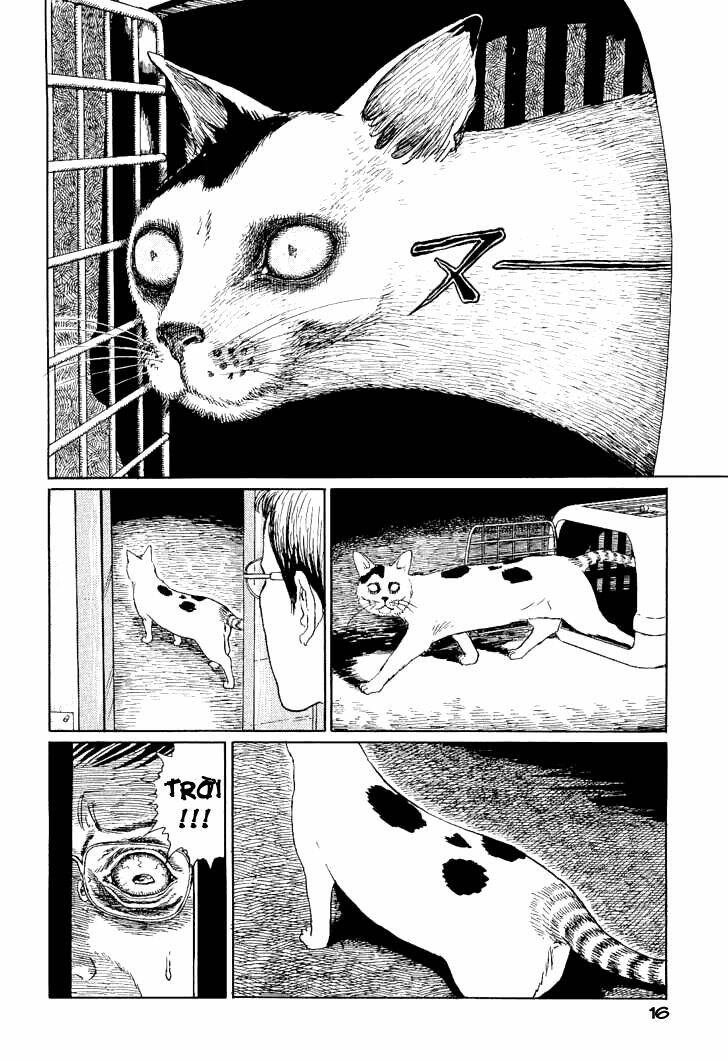 ito junji cat's diary chapter 2 4