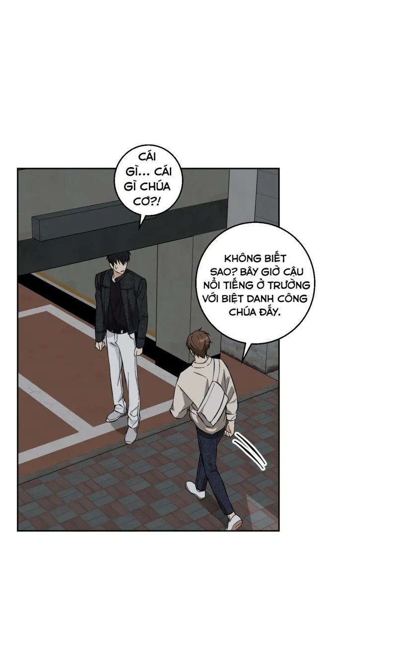 hãy bảo vệ tình yêu thuần khiết! chapter 8 57