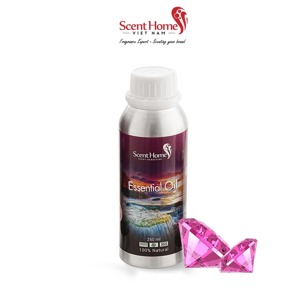 Tinh dầu Scent Homes - mùi hương