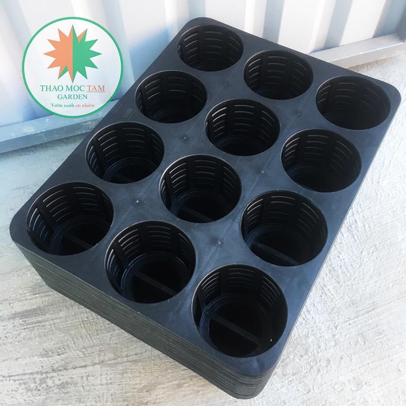 Combo 5 Khay đựng chậu 12 lỗ tròn – Đựng chậu trồng cây, ươm cây