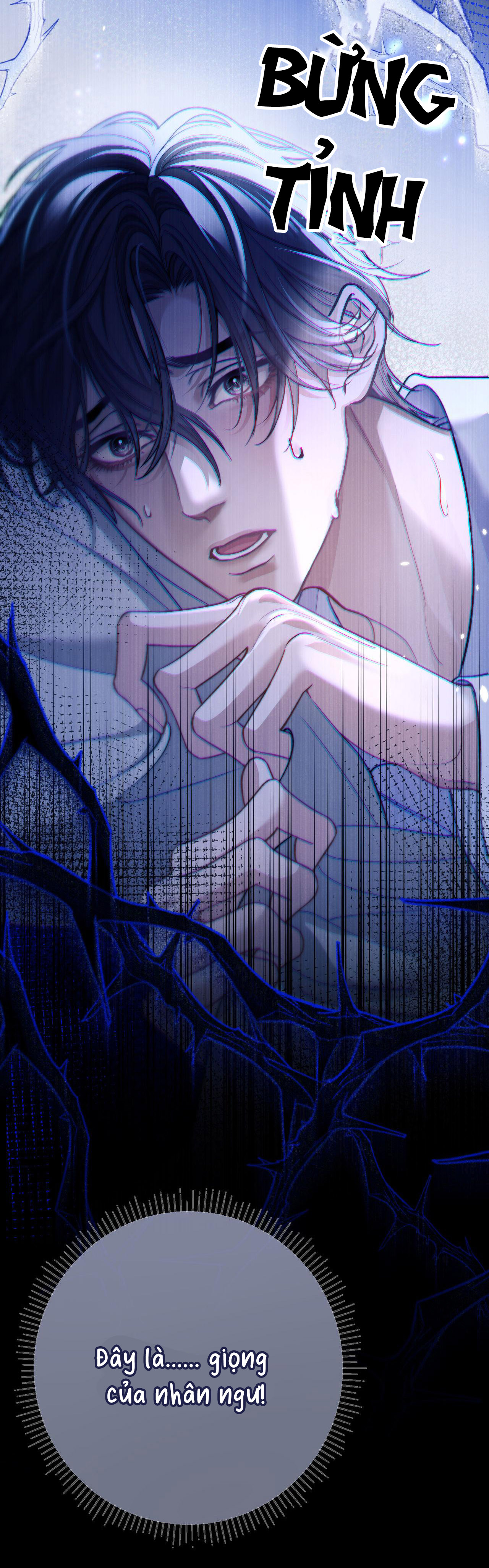 nhân ngư dessaro chapter 13 12