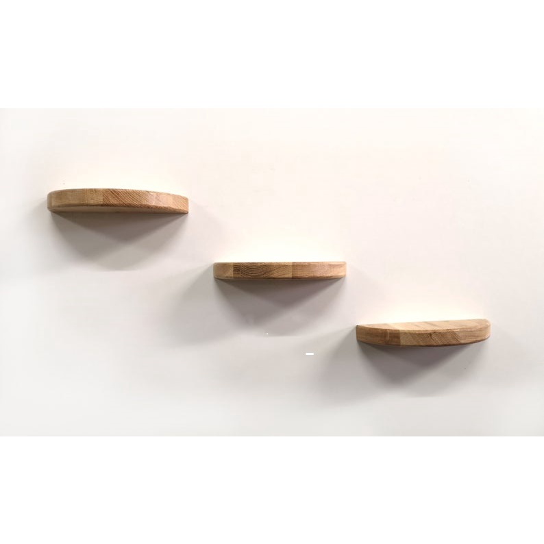 Set 3 kệ treo tường trang trí để đồ lưu niệm cây cảnh mini nửa hình tròn