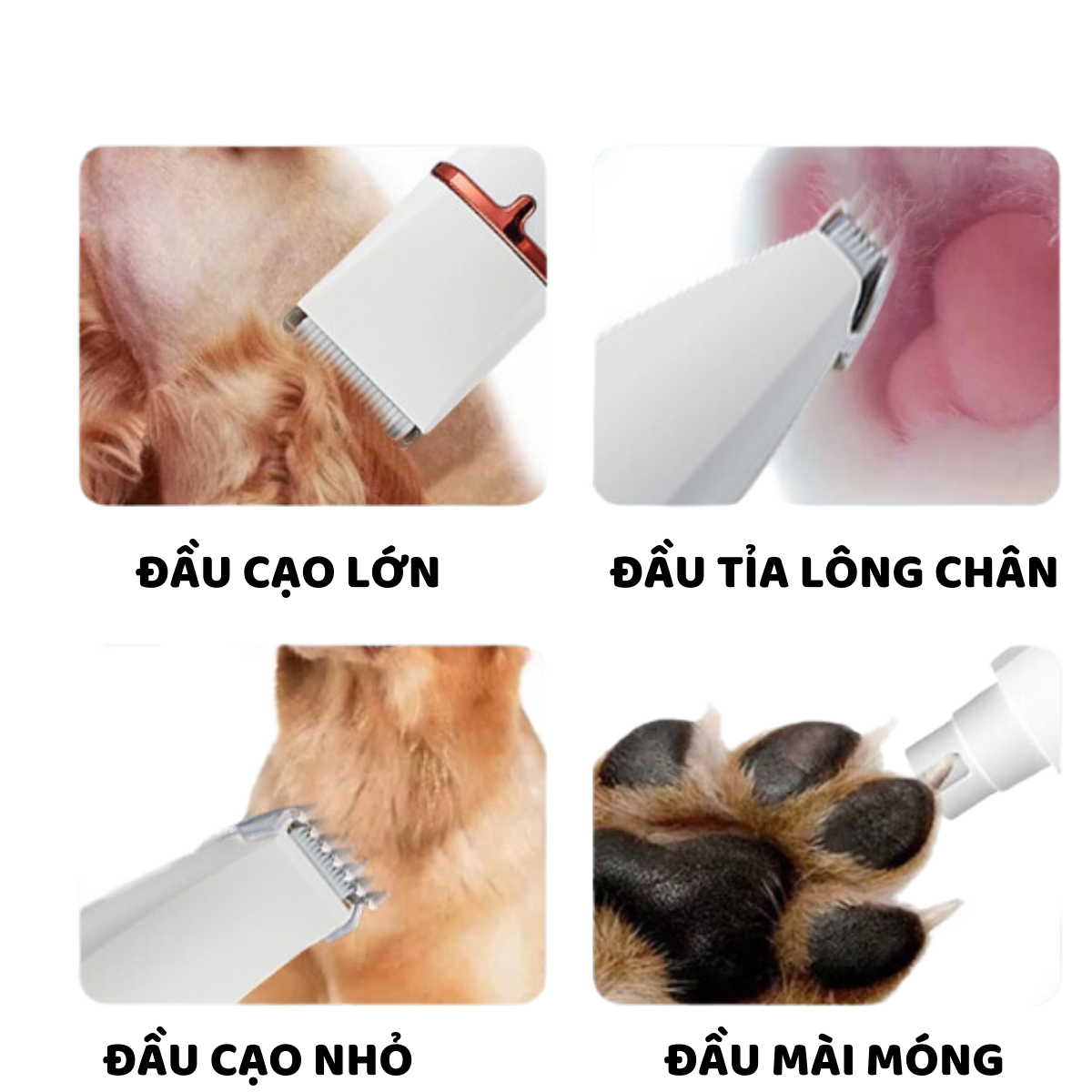 TÔNG ĐƠ CẮT TỈA LÔNG CHÓ MÈO ĐA NĂNG 4 TRONG 1