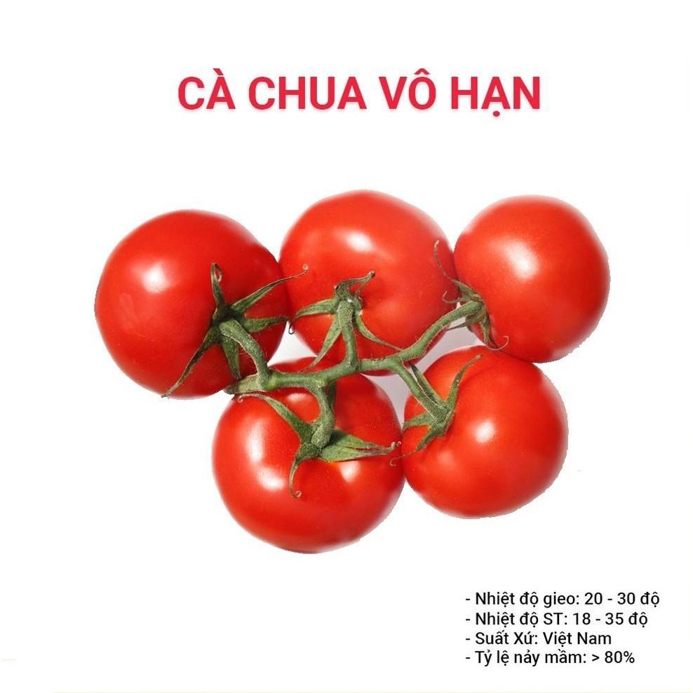 HẠT GIỐNG CÀ CHUA VÔ HẠN GÓI 0,5G -  TỶ LỆ NẢY MẦM CAO, NHANH THU HOẠCH