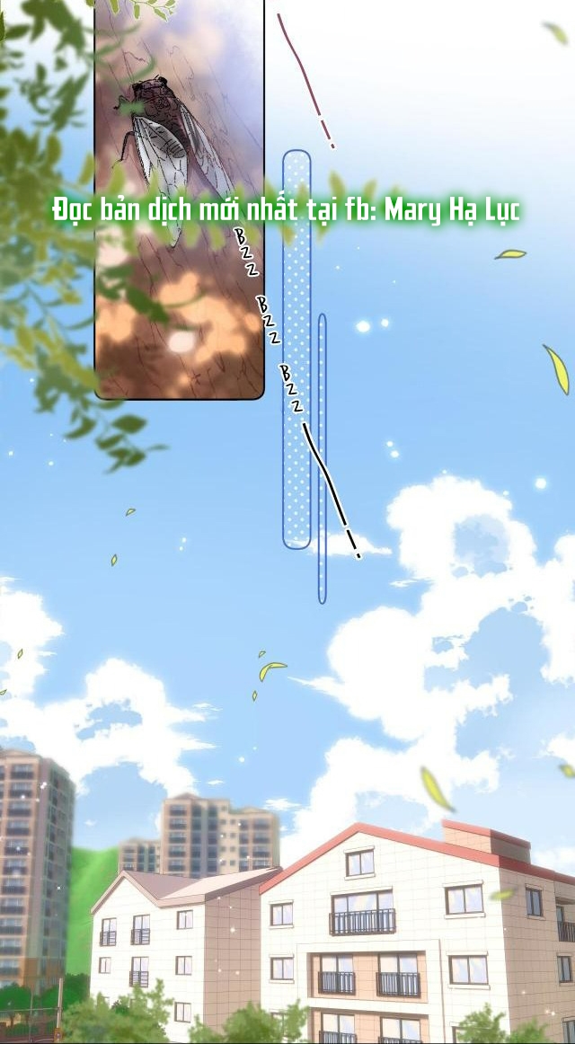 vụng trộm không thể giấu - mối tình thầm kín chapter 13 31