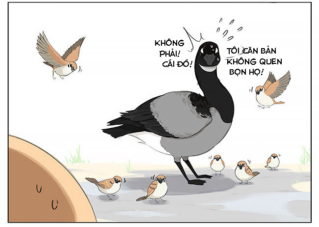 sẻ chiếu mới và nhạn phong sương chapter 9 6