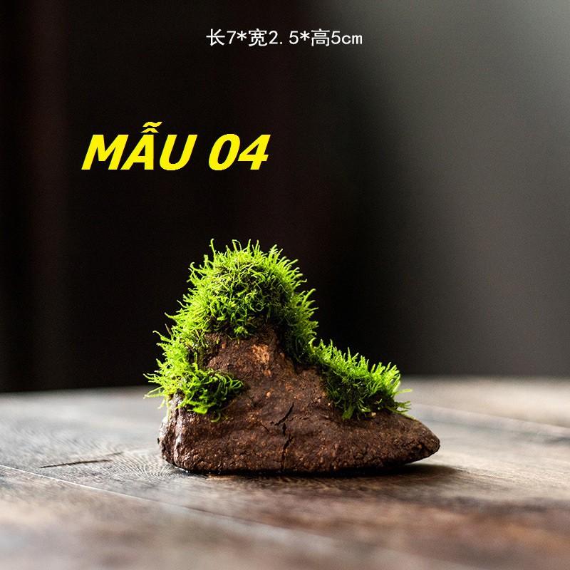 Chậu gốm set Tiểu cảnh - Set bán cạn - - Đá thấm thủy set rêu - Cấy rêu - Trang trí non bộ - Tiểu cảnh