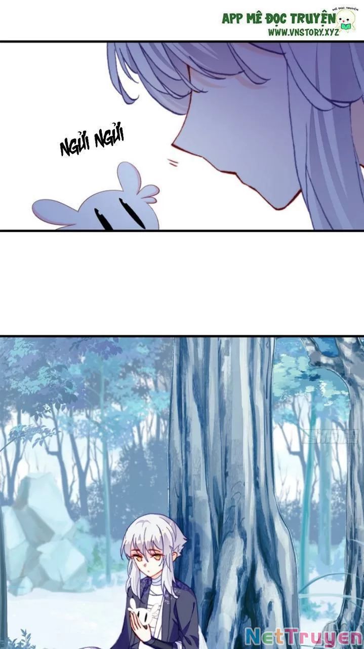 lại bị bệnh chiều chuộng quấn lấy chapter 19 22