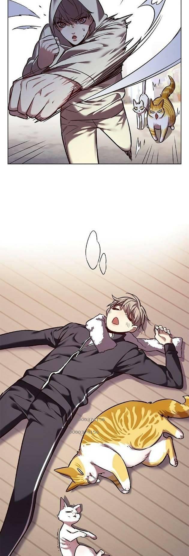 biến thân thành mèo chapter 239 49