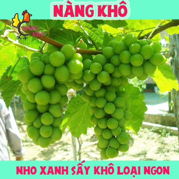 1 Kg nho khô xanh ninh thuận hàng loại 1 chua ngọt | Nàng Khô