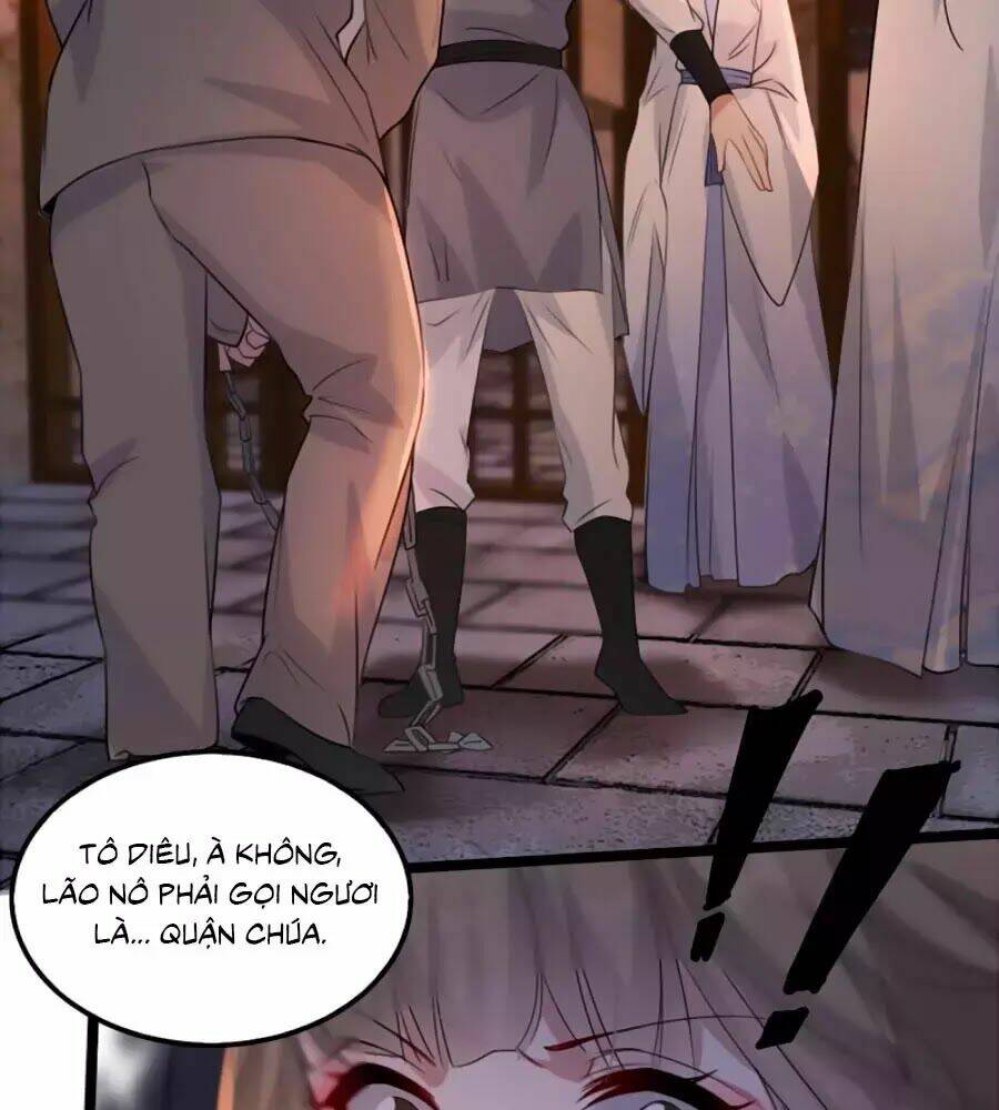 gian phi như thử đa kiều chapter 71 30