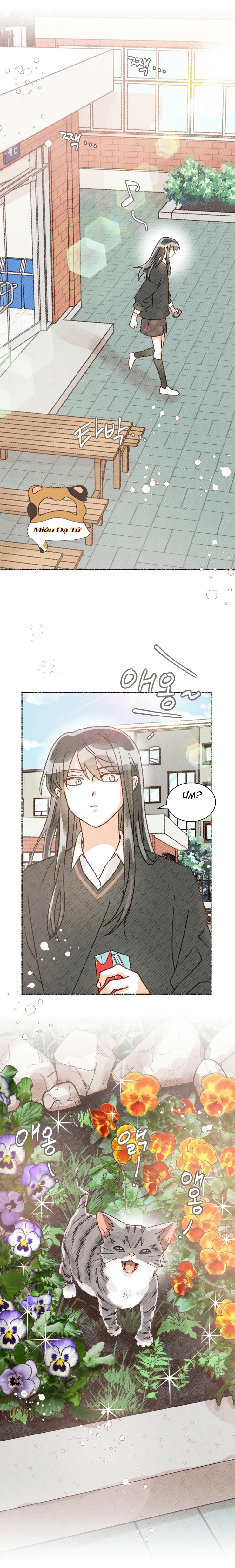 cảnh báo bản quyền chân dung chapter 8 1