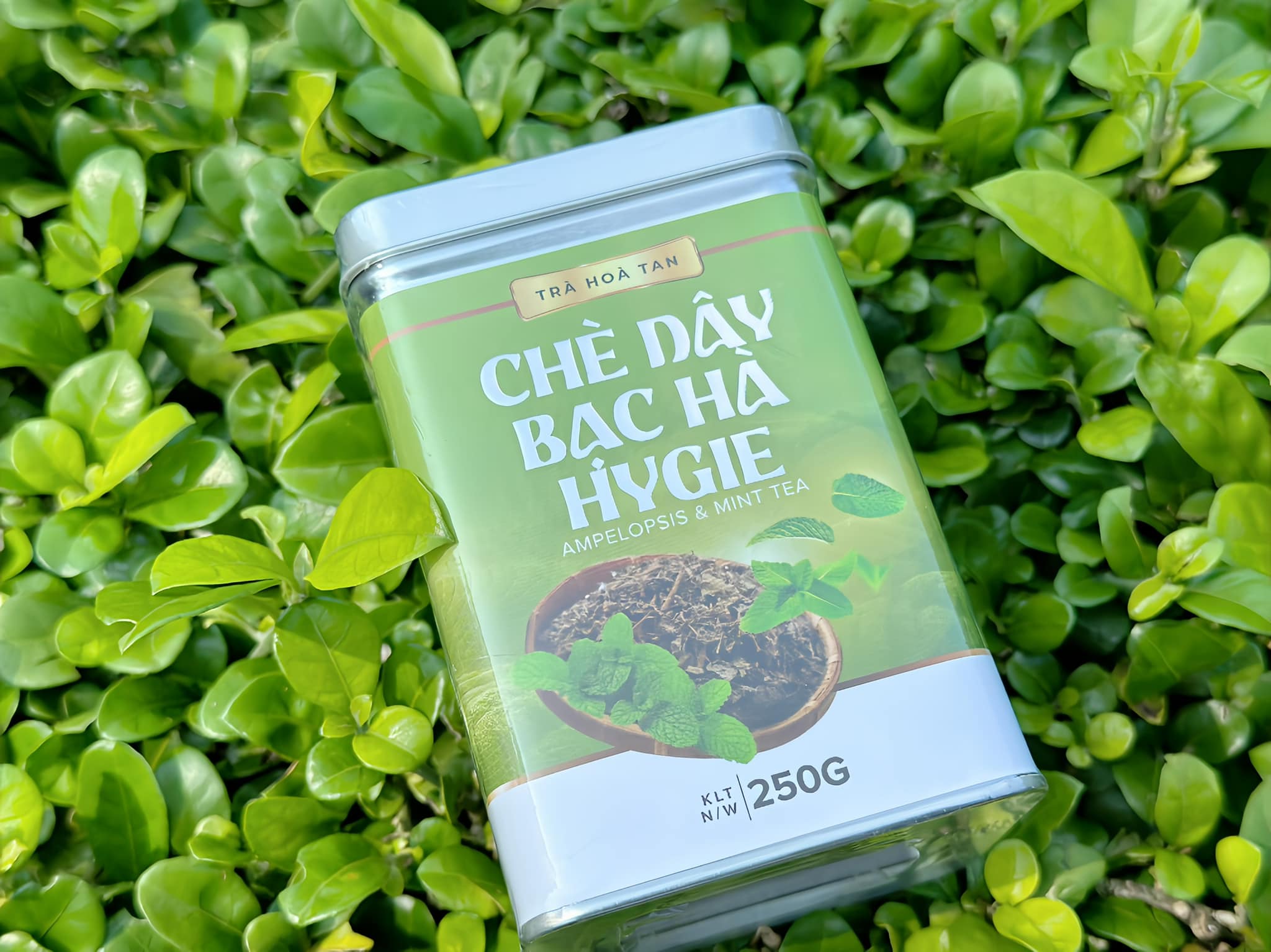 Chè Dây Bạc Hà Hygie - Hộp 250gr 50 ly. Giải pháp khắc phục và phòng ngừa trào ngược dạ dày, dạ dày HP