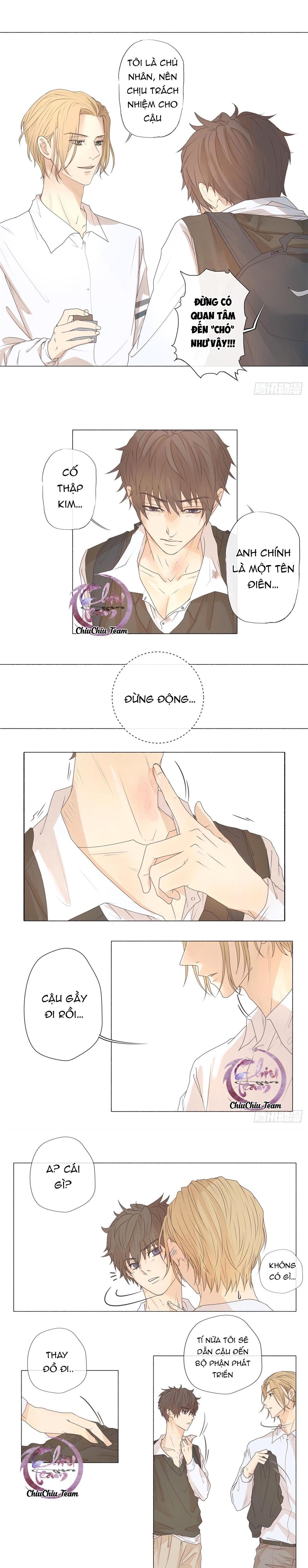 chó hư khó giữ chapter 3 8