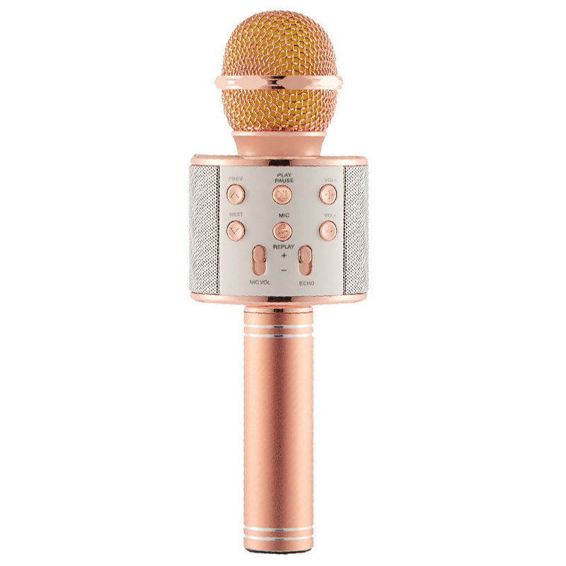 Mic Hát Karaoke Kèm Loa Bluetooth WS-858 Đa Năng