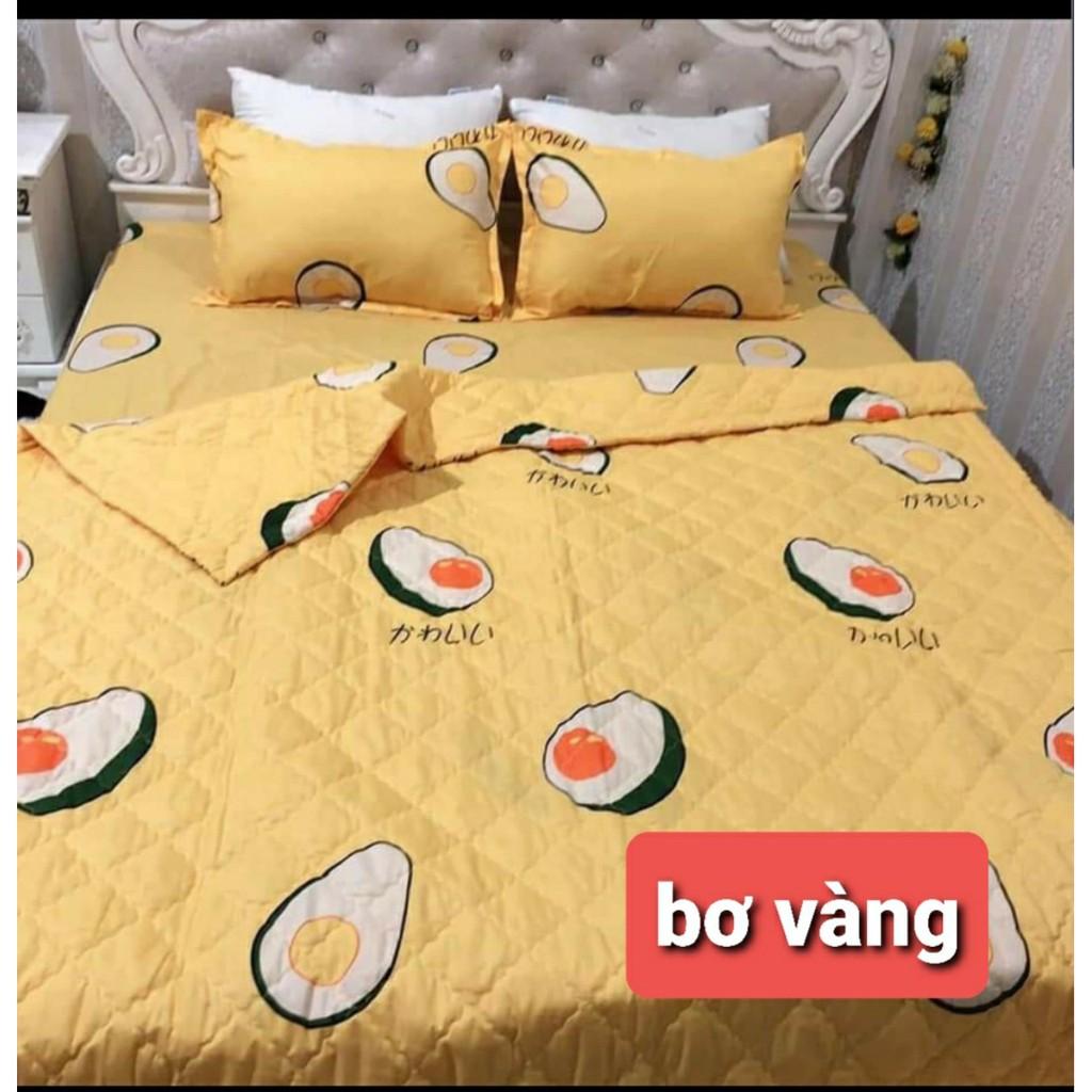 Set 5 Món ga chun 2 vỏ gối đầu ,chăn hè cotton mẫu khủng long bơ