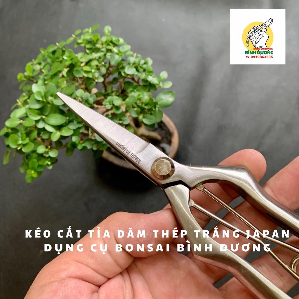 KÉO CẮT TỈA DĂM THÉP TRẮNG ĐÚC JAPAN - KÉO CẮT TỈA DĂM CÂY CẢNH BONSAI JAPAN