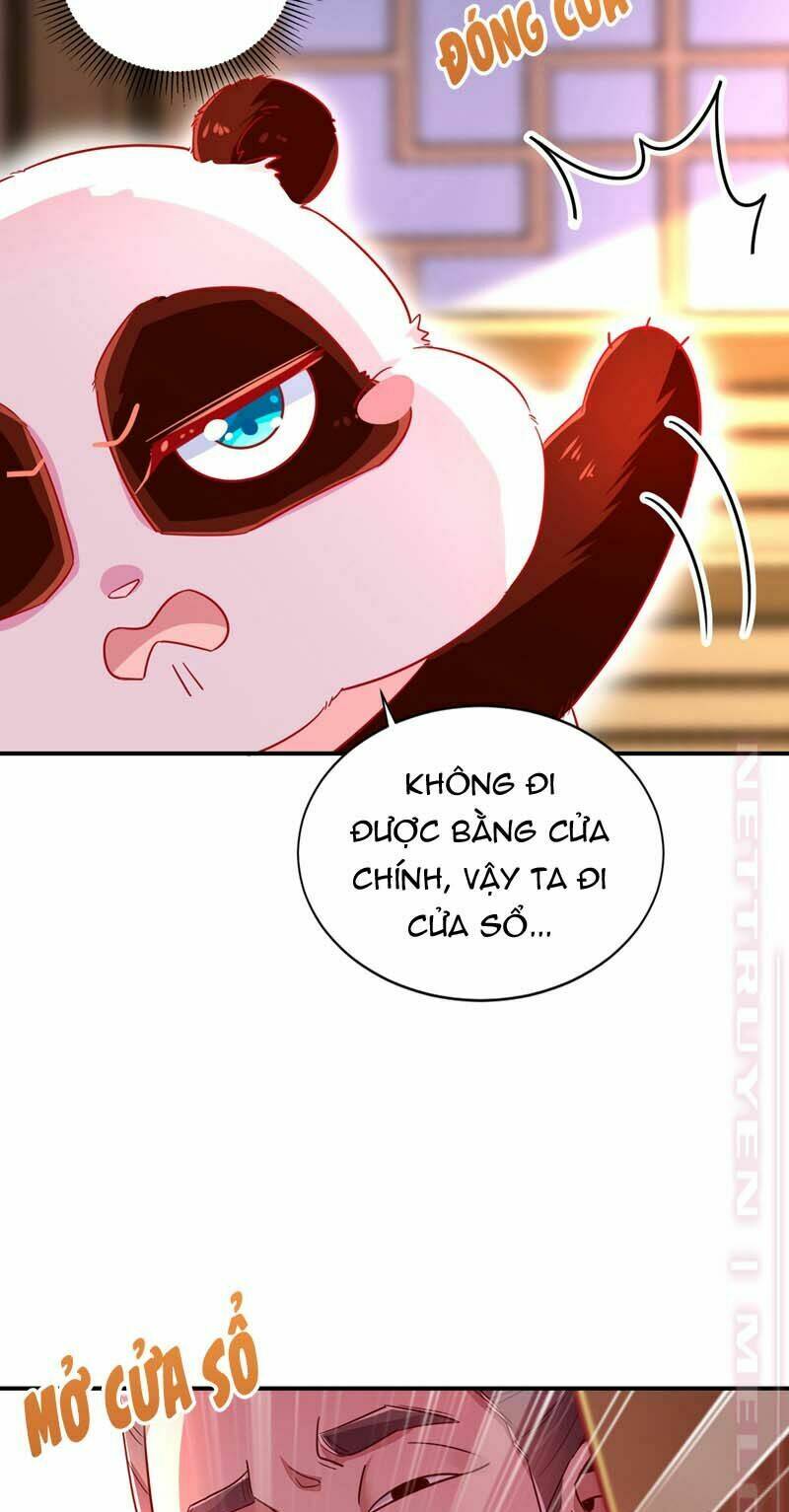 thiên thần gấu trúc muốn được ôm chapter 59 9