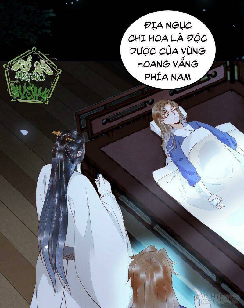 sát thủ vương phi không dễ chọc chapter 20 30