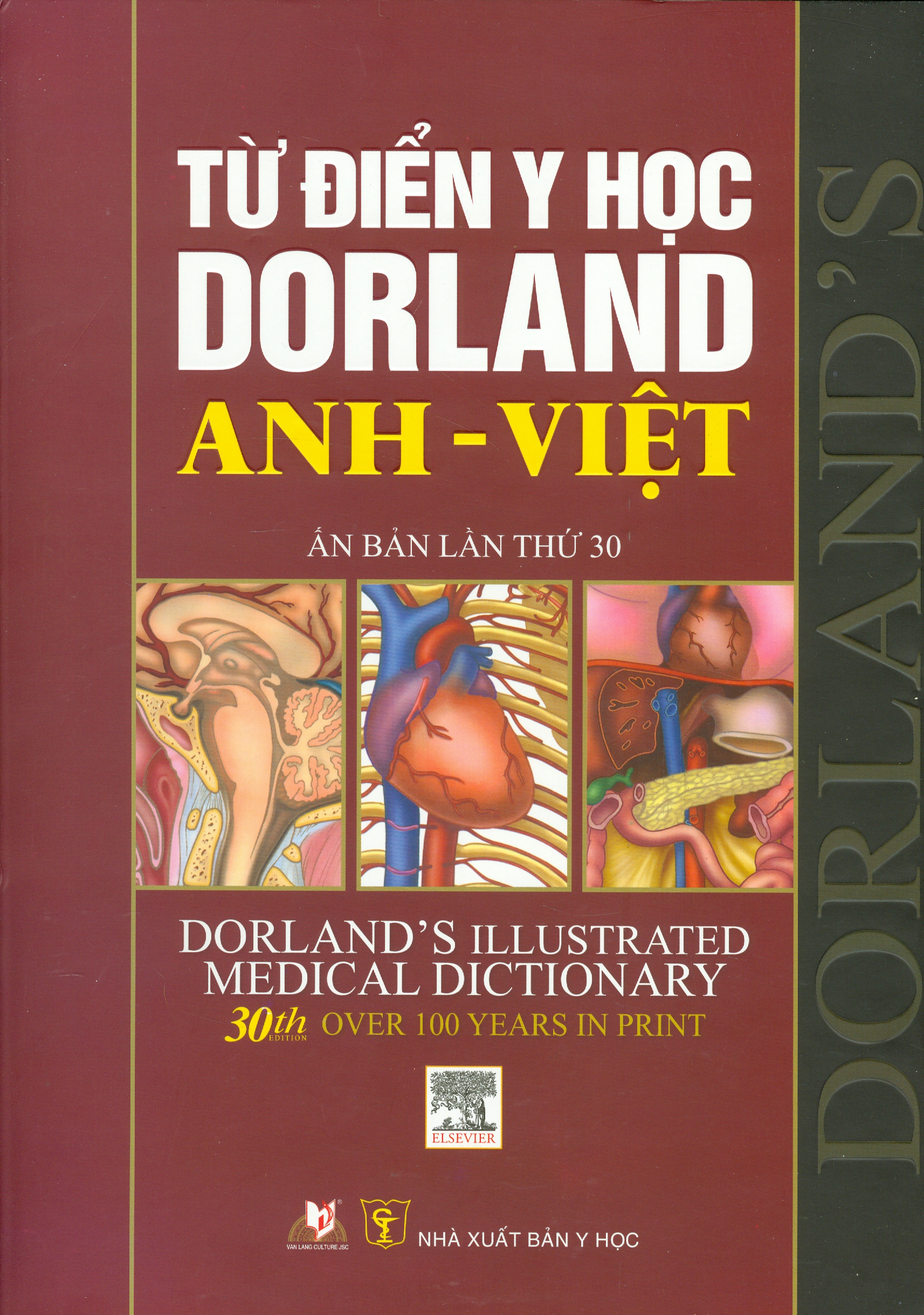 TỪ ĐIỂN Y HỌC DORLAND ANH - VIỆT (Giải Vàng - Sách Hay 2013) - In màu, bìa cứng