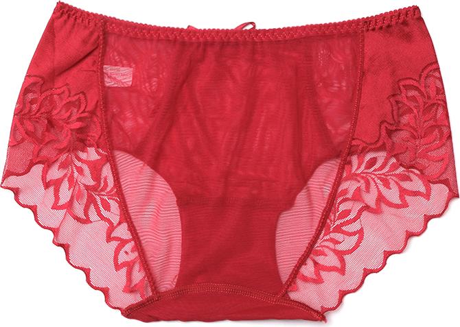 Bộ 5 Quần Lót Ren Lưới - Màu ngẫu nhiên