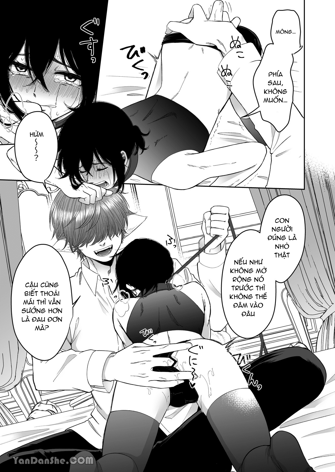 trở thành thú cưng ở một thế giới khác CHƯƠNG 1.1 11