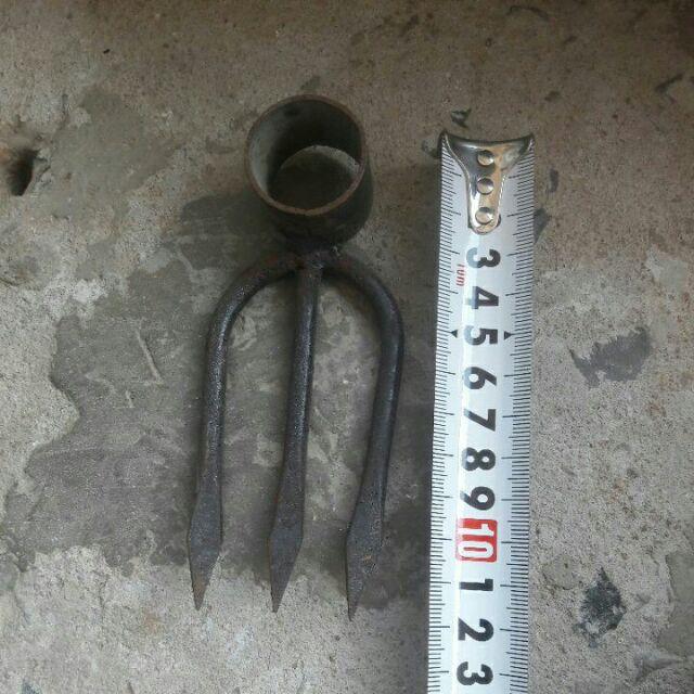 Móc dặm ruộng, móc góc cỏ, cây dại