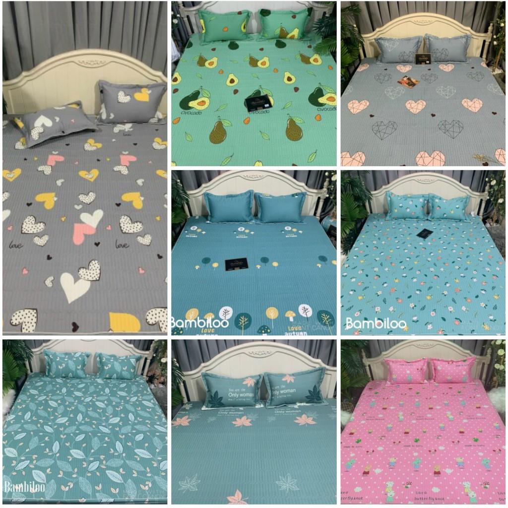 Ga chun trần mẫu họa tiết 100% cottong đẹp kèm 2 vỏ gối trần bông