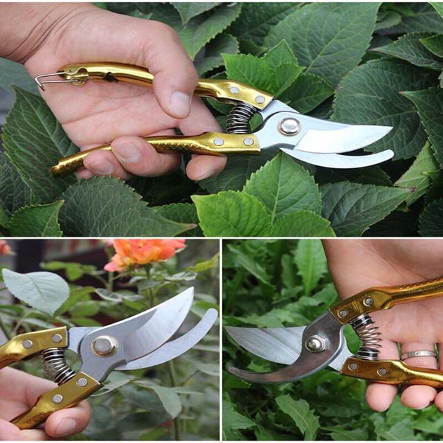 Kéo Cắt Cành TOP SK5 Lưỡi Thép Cán Vàng Vảy Cá, Kéo Cắt Cây Bonsai - Khu Vườn Ban Công