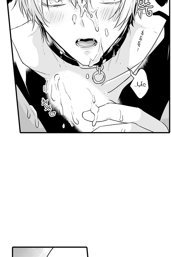 gấu ngủ đông chapter 11.1 23