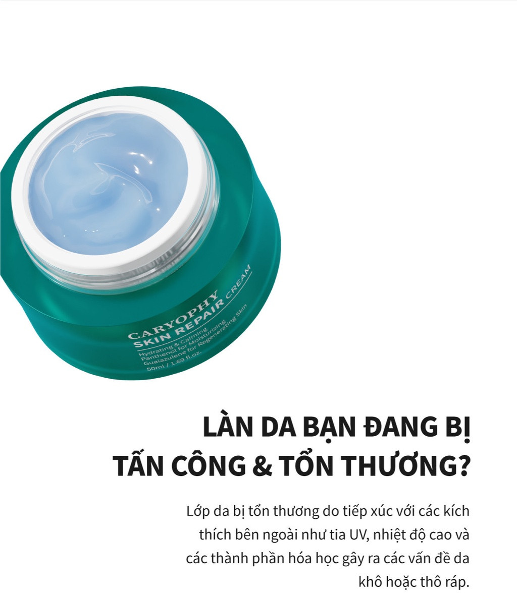 Kem Dưỡng Ẩm, Làm Dịu Phục Hồi Da Chuyên Sâu Caryophy SKIN REPAIR Cream 50ml