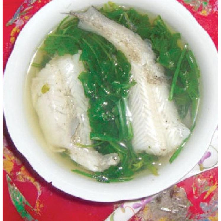 Hạt giống rau tần ô - rau cúc