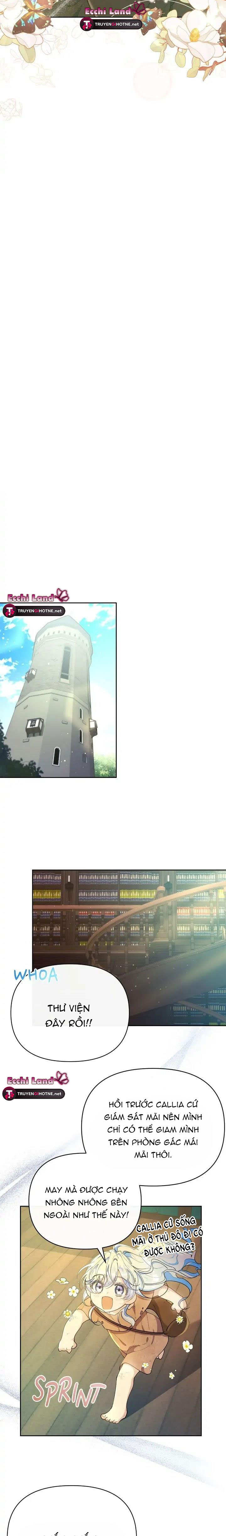 khi con gái mụ phù thủy hóa giải lời nguyền của nam chính chapter 5.1 7