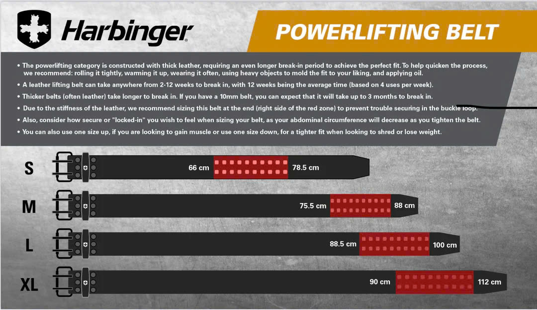 Đai Lưng Tập Gym Harbinger Powerlifting Belt 10mm Black