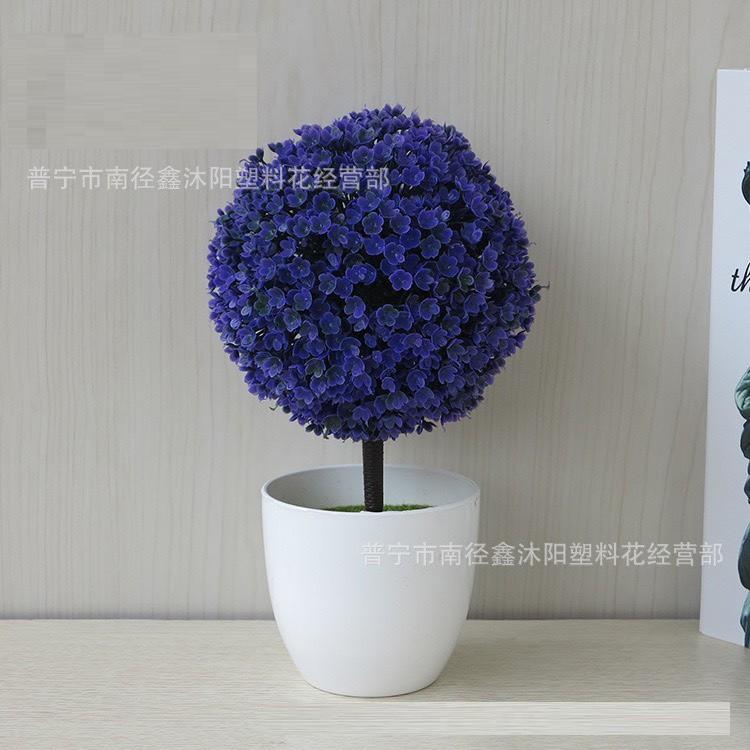 Chậu hoa cẩm tú cầu để bàn, để trang trí kệ treo tường .