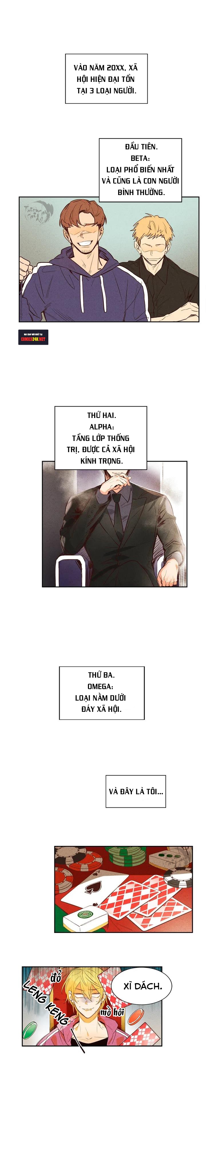 pheromone shower (chim nhại) chapter 0 2