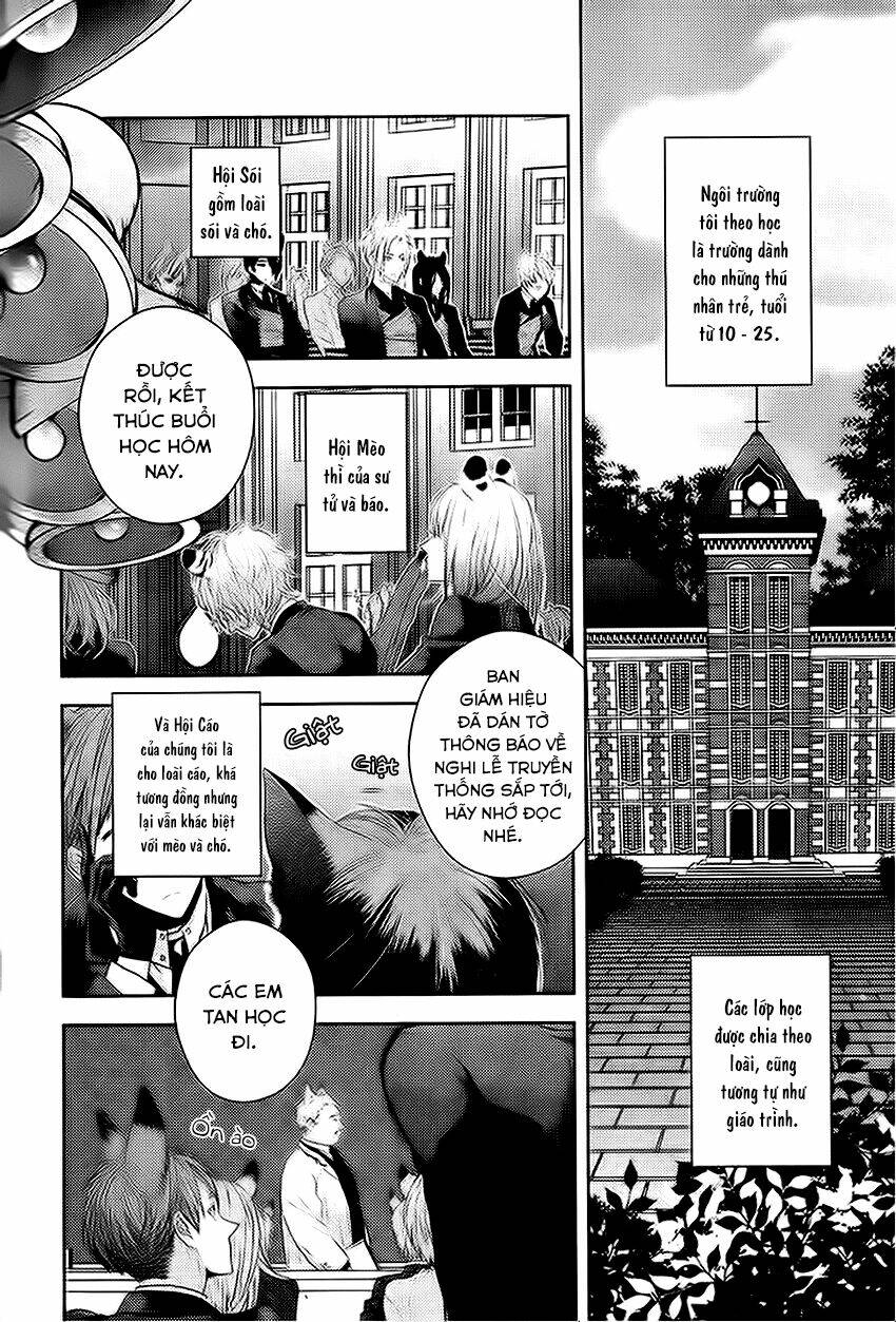 sói đen và cáo bạc chapter 1 4