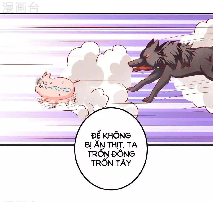 từ đây vương gia không thượng triều sớm chapter 87 38